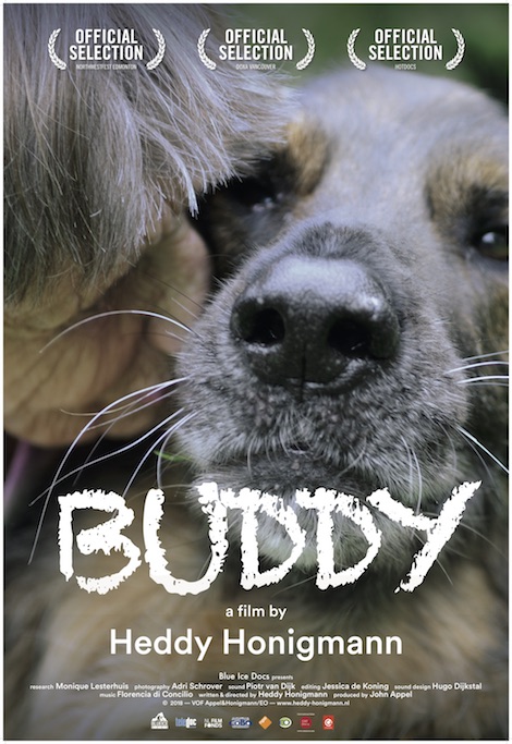 Buddy movie poster