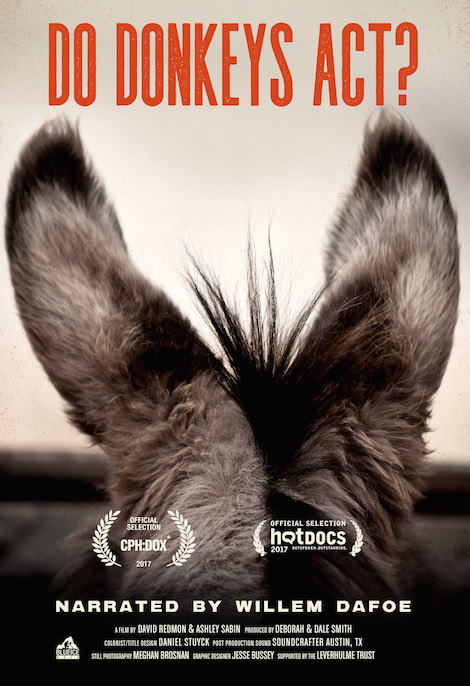 Do Donkeys Act? movie poster