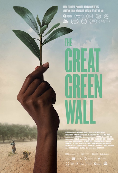 The Great Green Wall movie poster