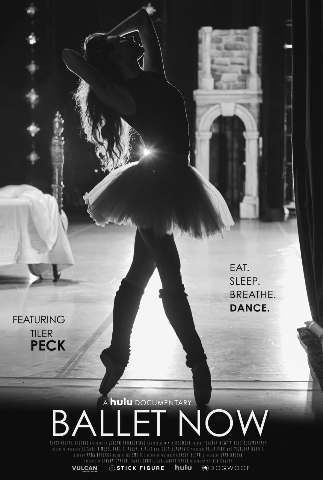 Ballet Now movie poster